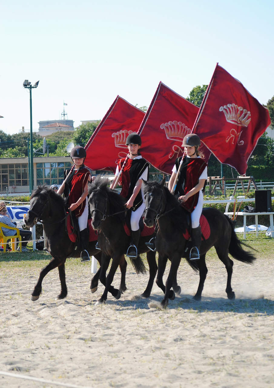 Monterufolino (Cavallino di Monterufoli Horses)